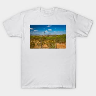 Chihuahuan Desert Windmill T-Shirt